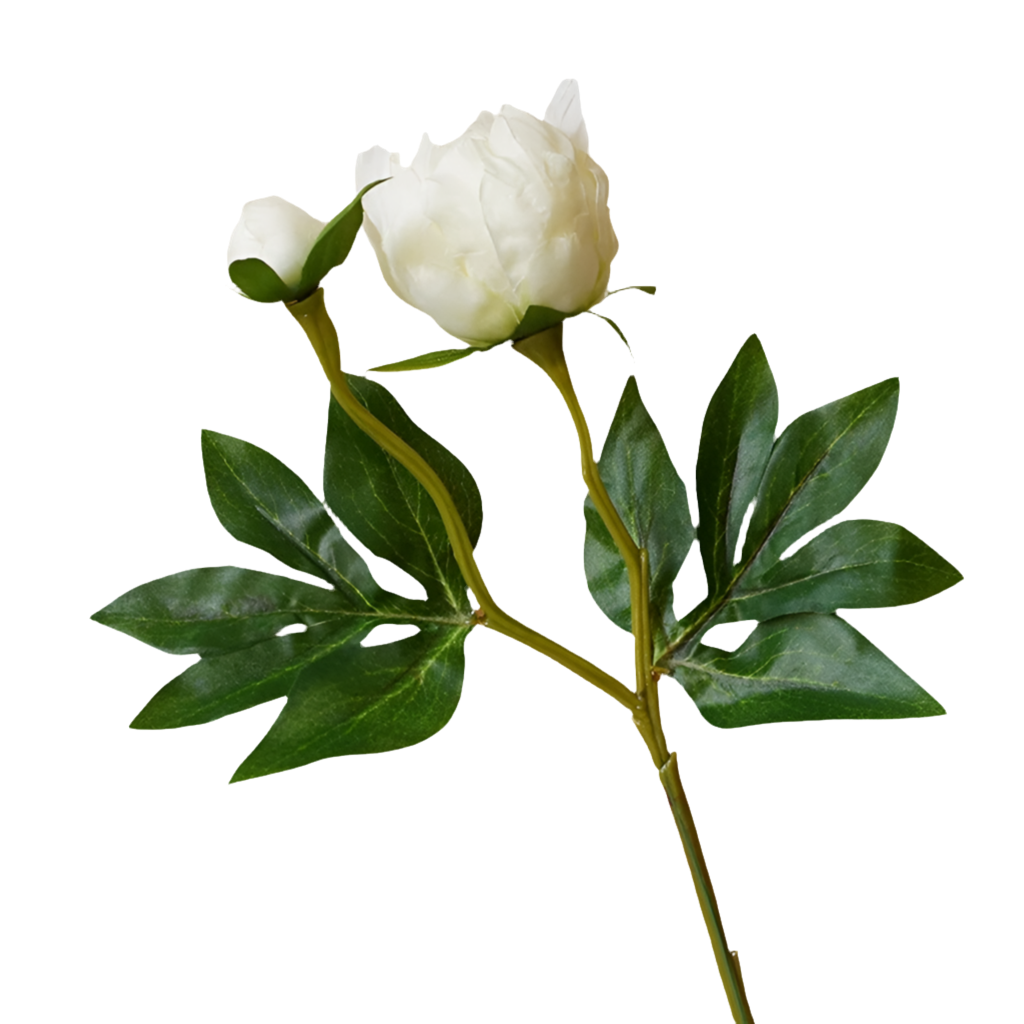 2 Head Peony
