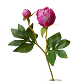 2 Head Peony