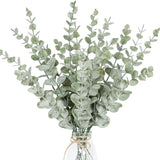 Eucalyptus Leaves