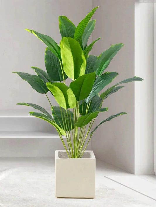 Banana Plant and Monstera Leaves