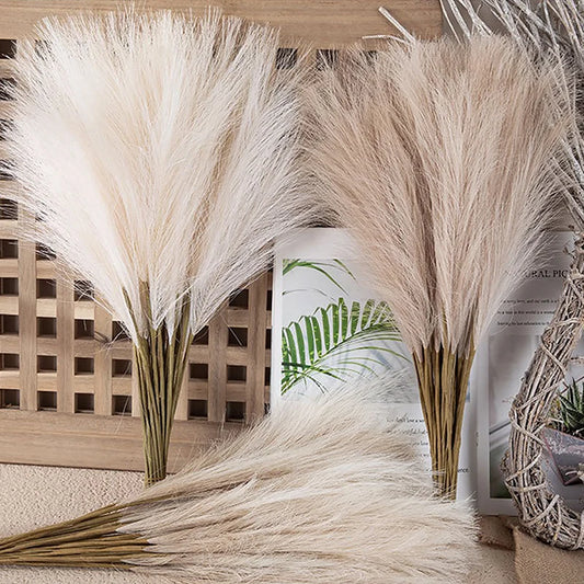 Pampas Grass