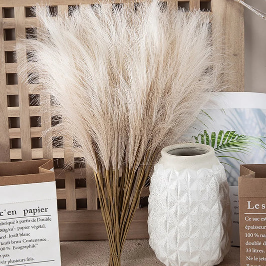 Pampas Grass