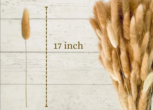 Dried Flower Bouquet