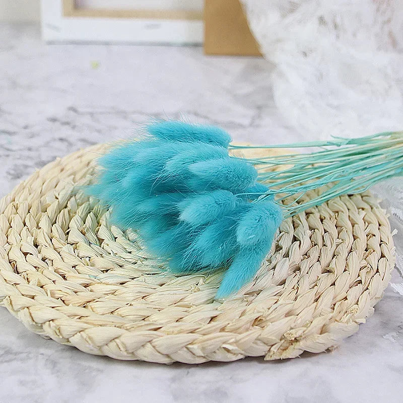 45721671401740|45721671467276|45721671500044