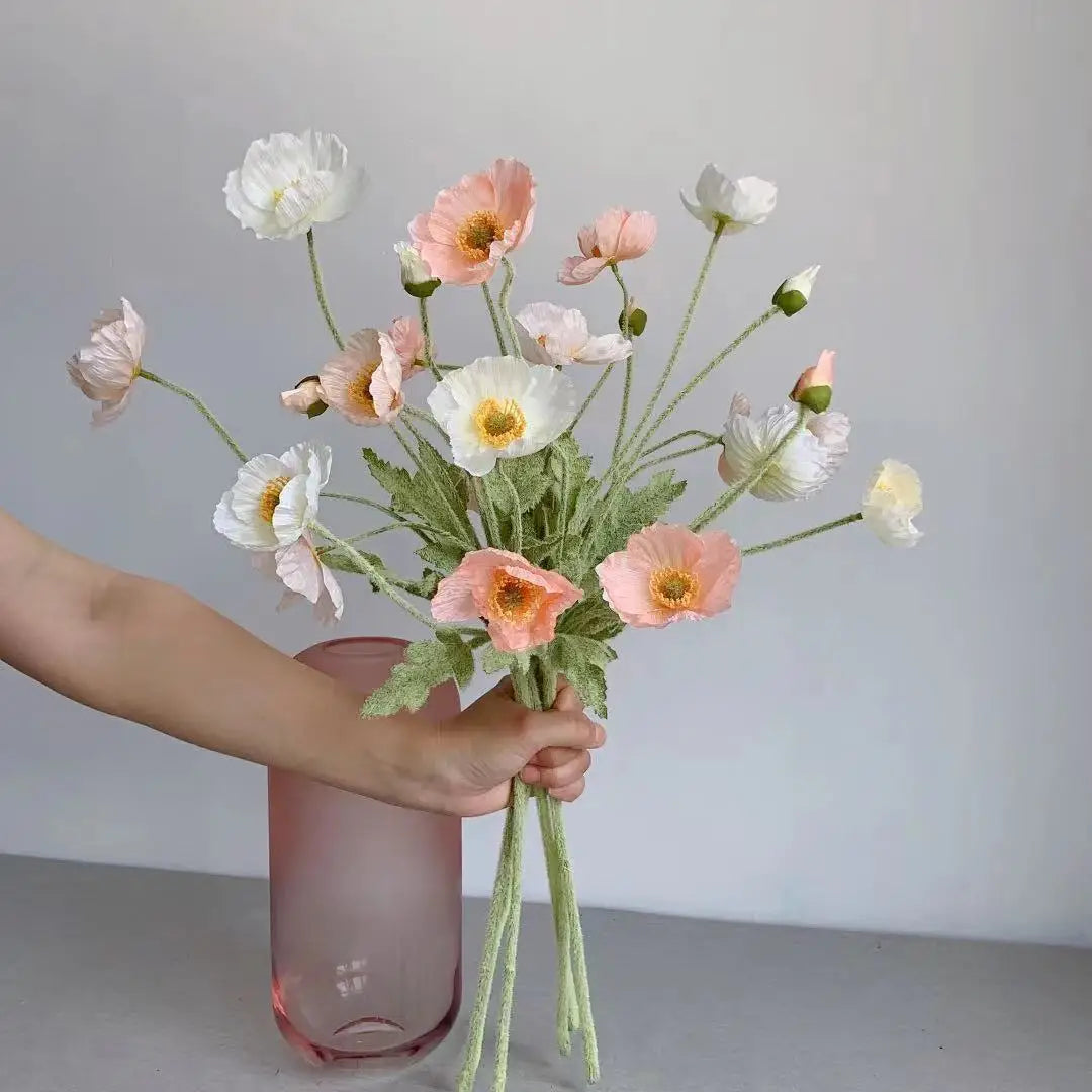 Poppy Flowers