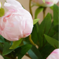 2 Head Peony