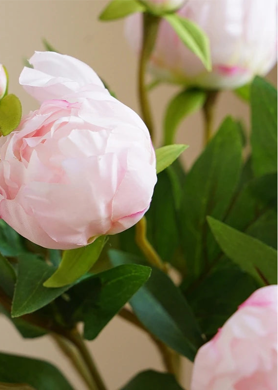 2 Head Peony