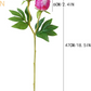 2 Head Peony