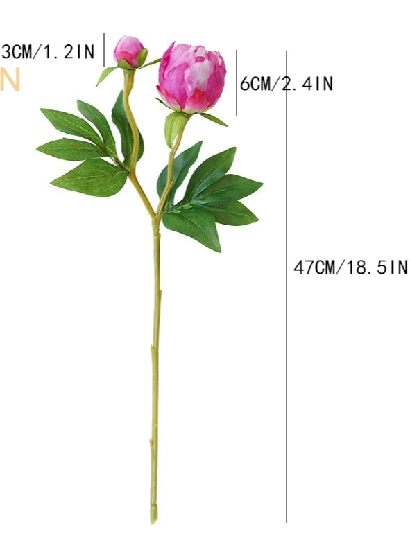 2 Head Peony