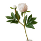 2 Head Peony