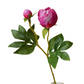 2 Head Peony