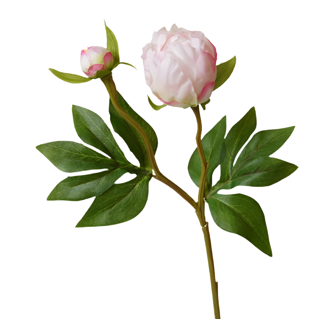 2 Head Peony