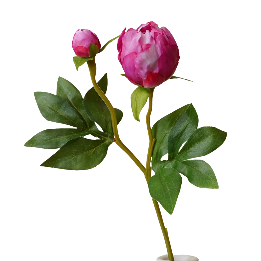 2 Head Peony