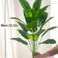 Banana Plant and Monstera Leaves