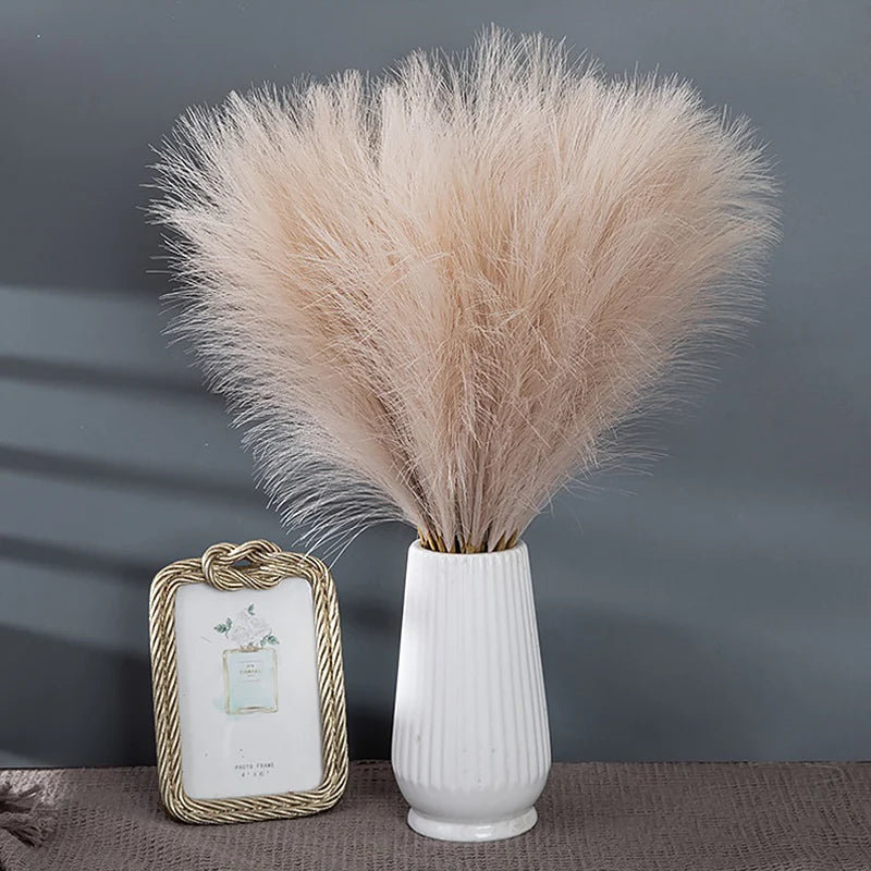 Pampas Grass