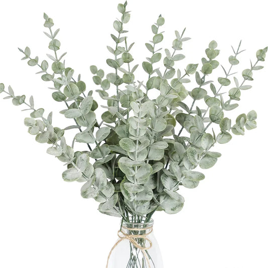 Eucalyptus Leaves