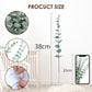 Eucalyptus Leaves