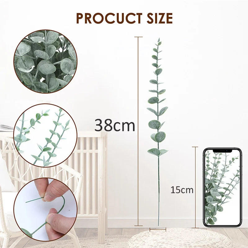 Eucalyptus Leaves