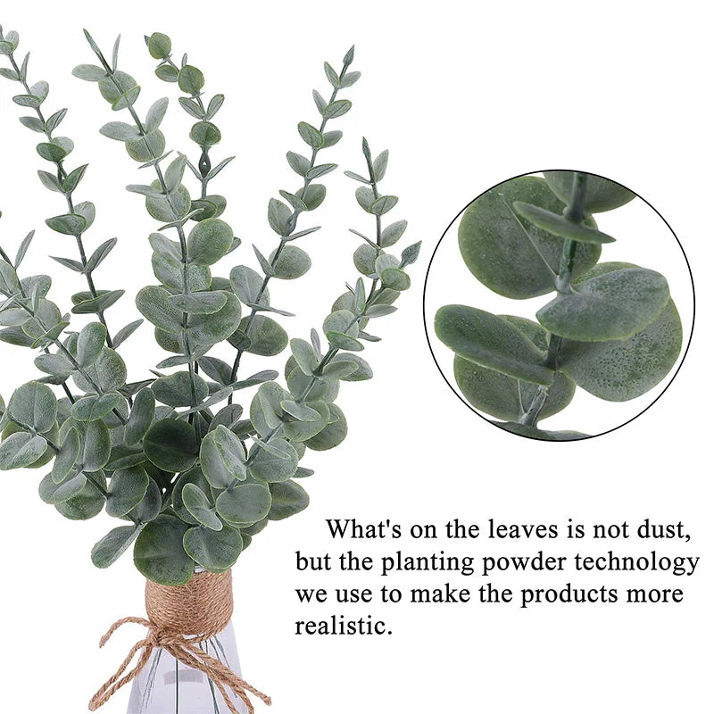 Eucalyptus Leaves