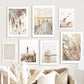 Scenery Prints