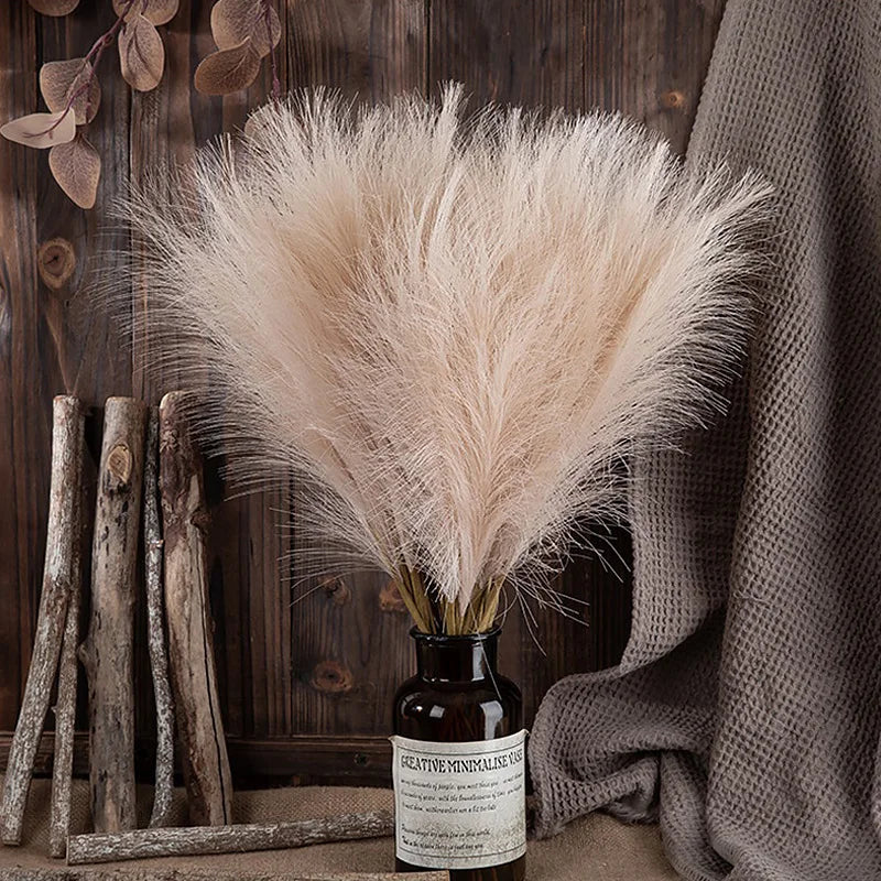 Pampas Grass