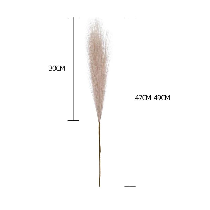 Pampas Grass
