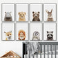 Baby Animal Prints