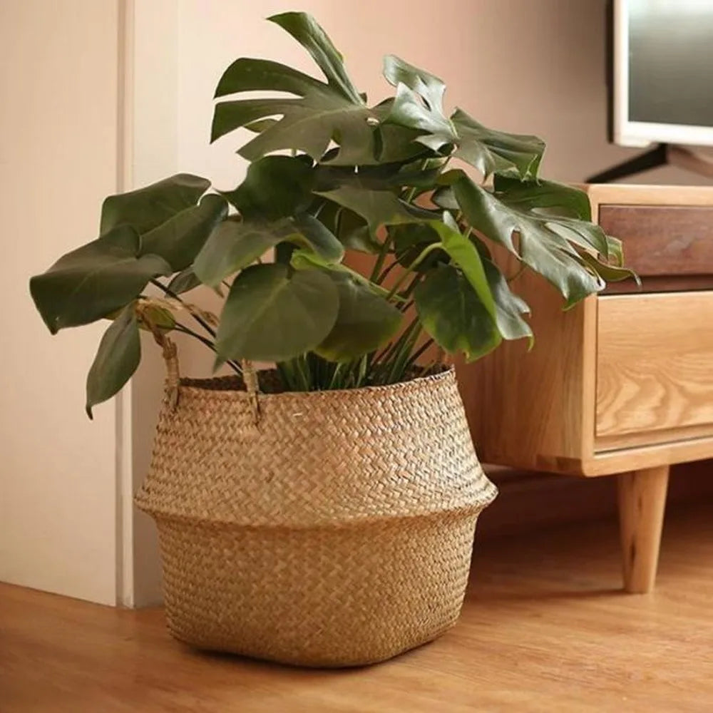 Hanging Flowerpot