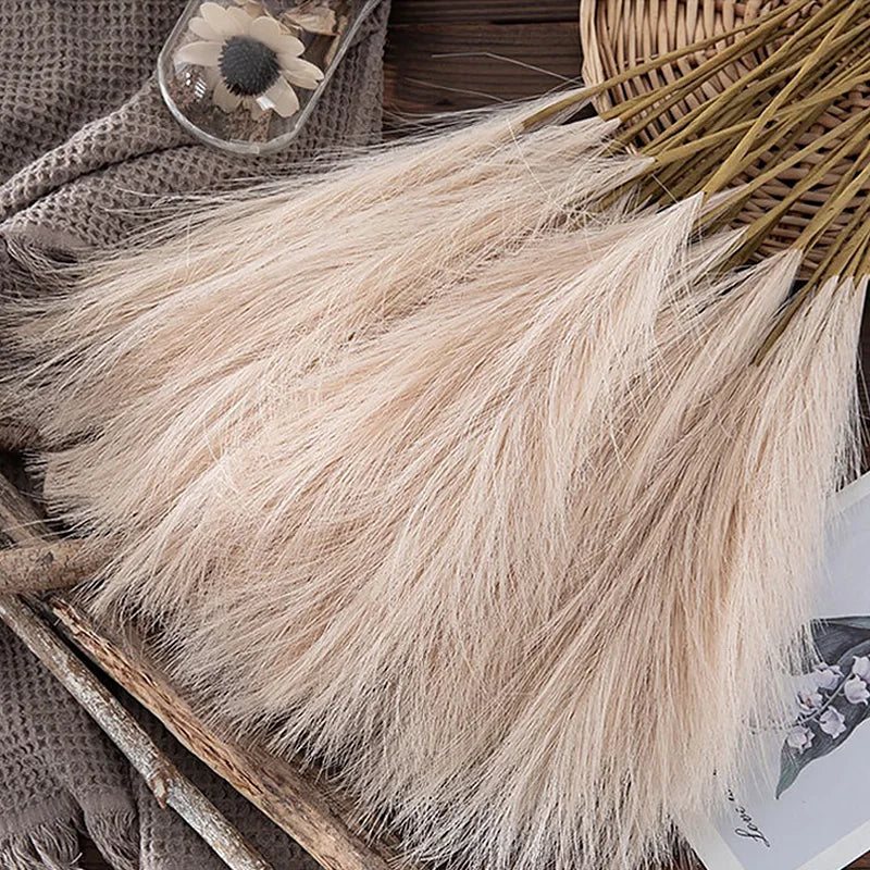 Pampas Grass